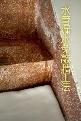 好評圖片